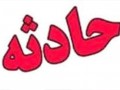 حمله مار ۲متری به کشاورز هرمزگانی +عکس
